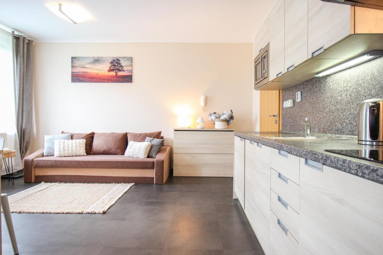 Ferienwohnung S Rodinou Do Krkonos Harrachov Exterior foto